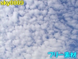 sky0009